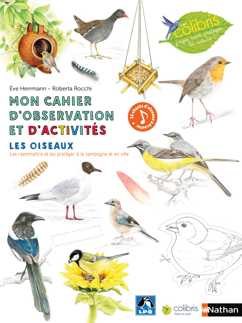 colibris-cahier-observation-les-oiseaux.jpg