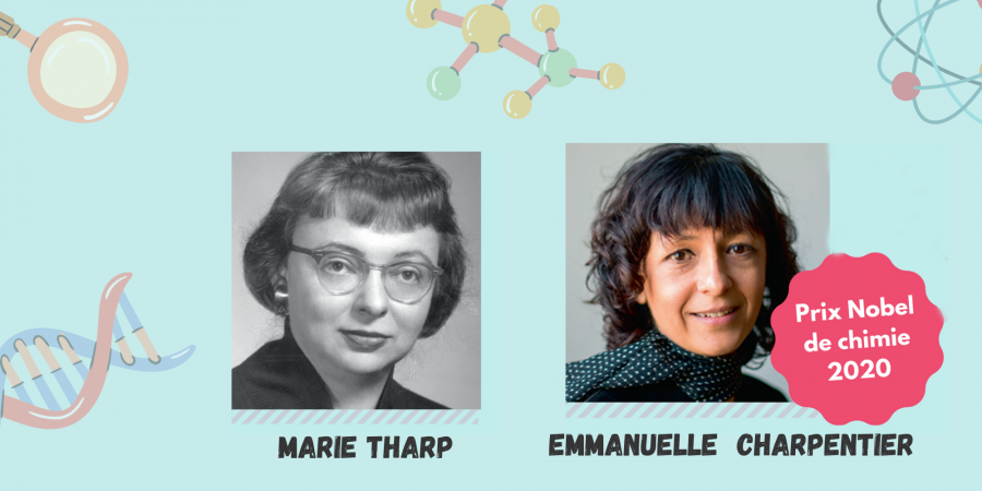 Femmes scientifiques d'hier et d'aujourd'hui